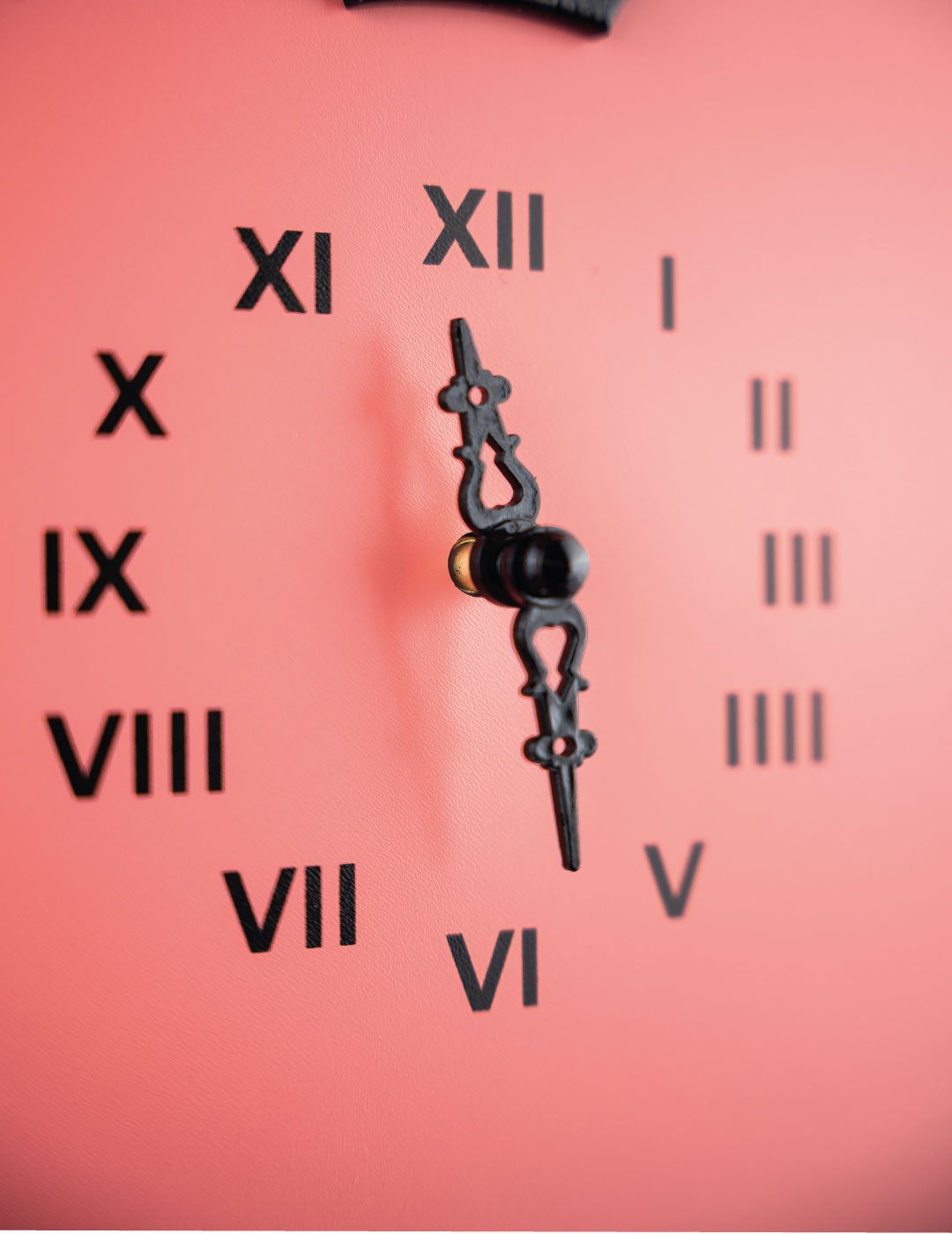 Moderne Kuckucksuhr - Salmon-Schwarz-Zifferblatt